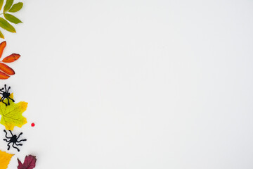 Horizontal autumn banner with a fallen colorful leaves and black spiders on white background with...