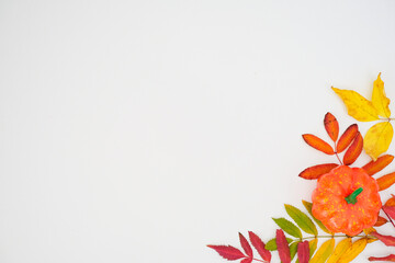 Horizontal autumn banner with a fallen colorful leaves and orange pumpkin on white background with...