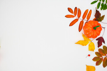 Horizontal autumn banner with a fallen colorful leaves and orange pumpkin on white background with...