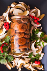 mushrooms, saffron milk cap, wild mushrooms, forest food, edible mushrooms, fresh mushrooms, mushroom closeup, gourmet food, natural food, seasonal food, autumn food, fall harvest, organic food, healt