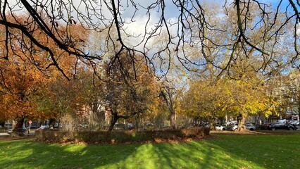 Couleurs de l'automne des arbres au square Riga à Schaerbeek (Bruxelles) 