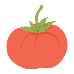 Red tomato vector illustration. Hand drawn tomato organic vegetable. Pomodoro, summer or autumn harvest. Vegetarian plant food on a white background.