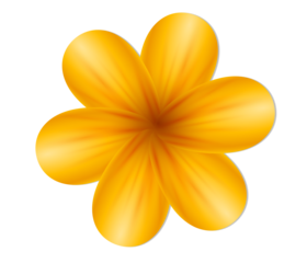Elegant yellow flower blossom on black background image