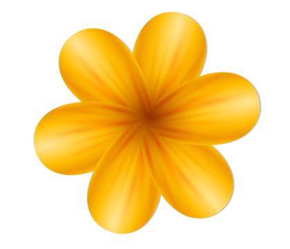 Elegant yellow flower blossom on black background image