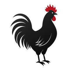 Illustration of a black rooster with a red comb and wattle standing on a white background design art