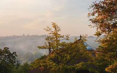 Herbstlaub in allen Farben eine Pracht, Nebel Dunst Gegenlicht leuchtend