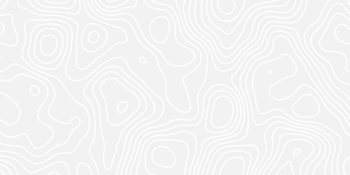 A clean, monochrome abstract background featuring a seamless topographic map pattern with subtle, flowing white contour lines on a light gray surface, conveying minimalist elegance.