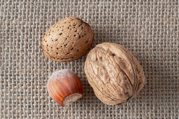 Close-up of almonds, walnuts and hazelnuts with their shells on white marble