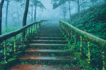 A moss-covered stone staircase with ornate railings ascends into a dense, misty forest in India, flanked by lush green vegetation.