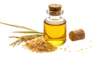 Golden rice oil in a clear glass bottle, with rice grains and stalks