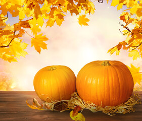 Thanksgiving day autumn festive card with two pumpkins on wooden table and fall autumnal maple tree leaves on sky background.