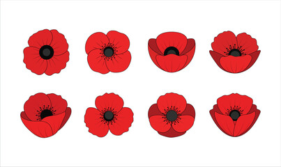 Red poppy flowers collection with transparent background
