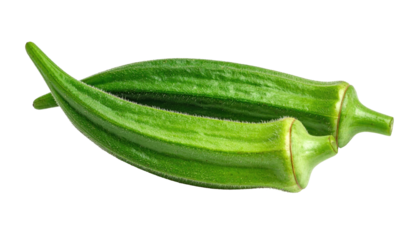 Two fresh okra pods, vibrant green, slightly tapered ends, smooth skin,  close-up