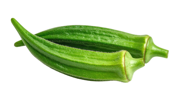 Two fresh okra pods, vibrant green, slightly tapered ends, smooth skin,  close-up