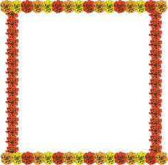 Obraz premium Marigold flower frame