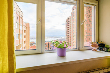Window view overlooking cityscape with buildings, a river, and a bridge. A potted plant sits on the windowsill