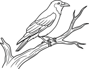 Obraz premium Line drawing of a raven perched on a bare tree branch