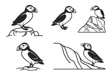 Minimalist atlantic puffin icon set