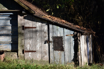 Ukrainian village house, surrounded by trees in the garden and greenery. A glimpse into traditional rural life and folk architecture. A house in a village, a summer cottage, close-up