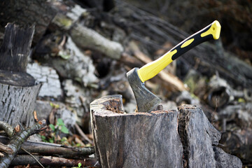 an axe in a stump. A close-up view of a rugged axe embedded in a wooden log, evoking notions of forestry, craftsmanship, and outdoor activities in nature. preparing firewood for the winter