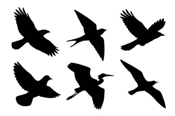 Obraz premium Flying birds silhouette icon set. Vector black symbols of wings, animals, and wildlife glyph illustrations