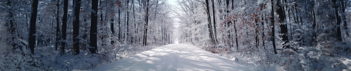 Tranquil winter road through snowy forest for seasonal landscapes and prints
