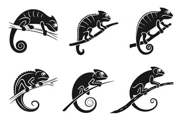 Minimalist chameleon icon set black and white