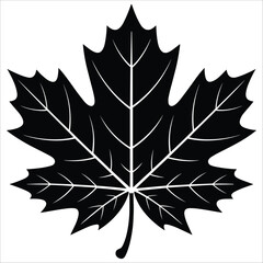 Striking black and white maple leaf silhouette for autumn and canadian themed designs