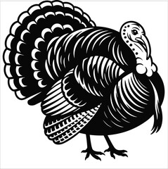 Majestic silhouette of a turkey with fanned tail feathers for thanksgiving