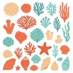 Vector set of colorful corals seashells and starfish with ocean elements and marine decorations. Collection of underwater sea life illustrations in bright seasonal style