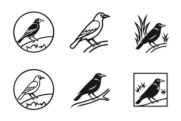 Eight minimalist starling icons in black and color