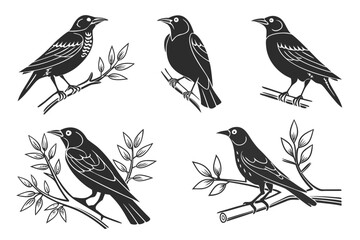 Eight minimalist starling icons for design projects