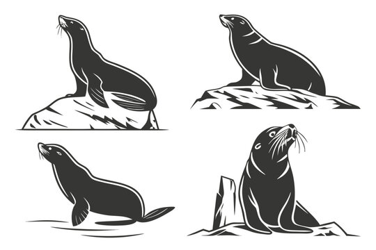 Set of eight minimalist common seal icons in black and yellow