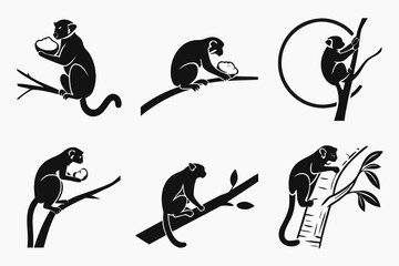 Minimalist cotton top tamarin icon set with bold colors