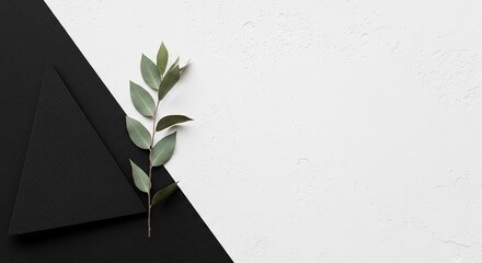 Minimalist design with a black and white contrast and a green sprig