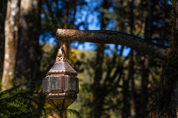 old lantern in the garden