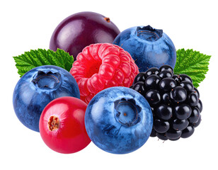 Assorted berries in a cluster,  featuring blueberries, raspberries, blackberries, cranberries, and dark purple berries.  Fresh and vibrant