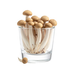 Small, light-brown mushrooms in a clear glass