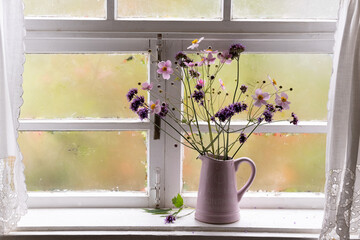 Verbena bonariensis and anemone in a vase on the window