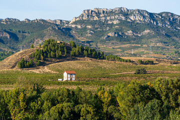 Vineyards around Haro, La Rioja, Spain