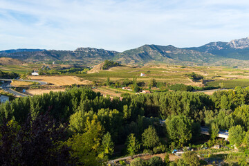Obraz premium Vineyards around Haro, La Rioja, Spain