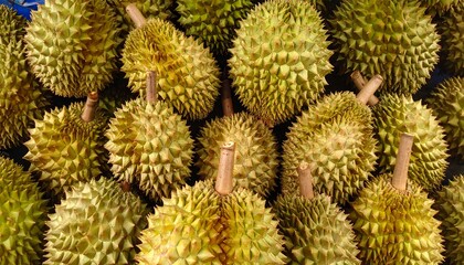 A Close-Up Image of Many Durian Fruits Ready to be Sold or Eaten