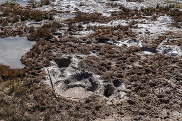 Mud Volcano area,  Yellowstone National Park, Wyoming. A mud volcano or mud dome is a landform...