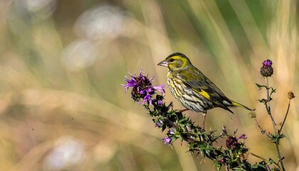 A Beautiful Bird Perched on a Plant with Purple Flowers in Nature