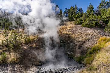 Dragon's Mouth Spring, Mud Volcano area,  Yellowstone National Park, Wyoming. A mud volcano or mud dome is a landform created by the eruption of mud or slurries, water and gases


