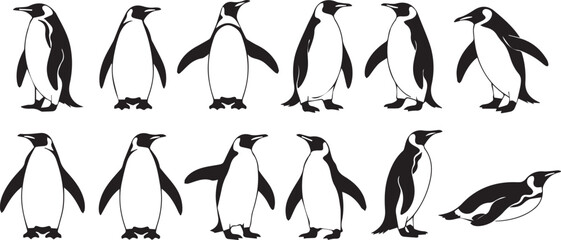 penguin pose collection vector pack ten monocolor penguin illustrations front profile threequarter views