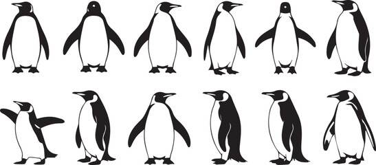 minimalist penguin character set ten poses black white vector illustrations perfect for kids decor