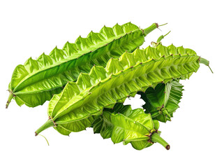 Fresh, vibrant green star fruit pods clustered close together