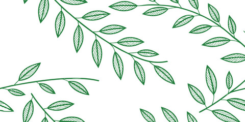 Green outline of branches with leaves on white background