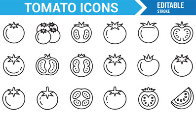 Fresh tomato linear vector illustration collection for food and health concepts